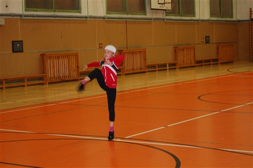 Obrázek v galerii